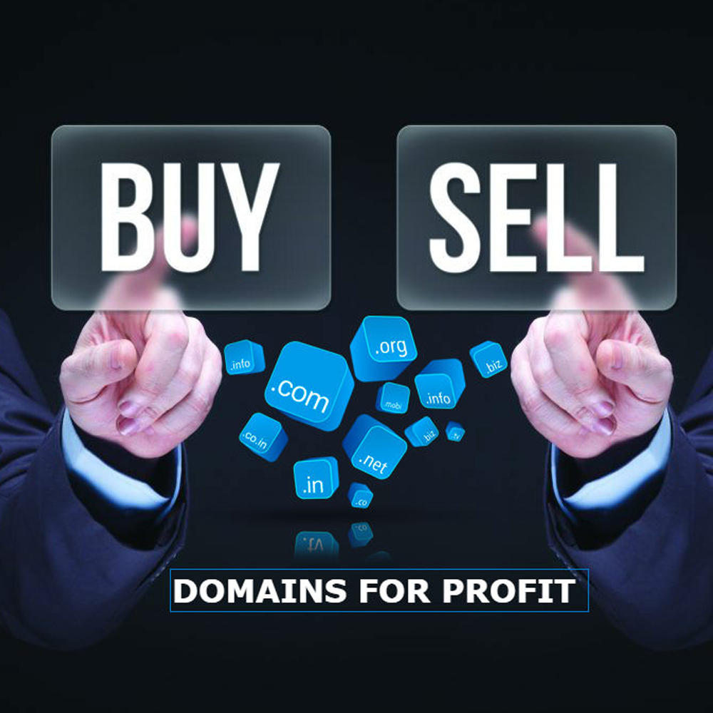 <strong>7 Steps to Start a Domain Selling Business</strong>-thumnail