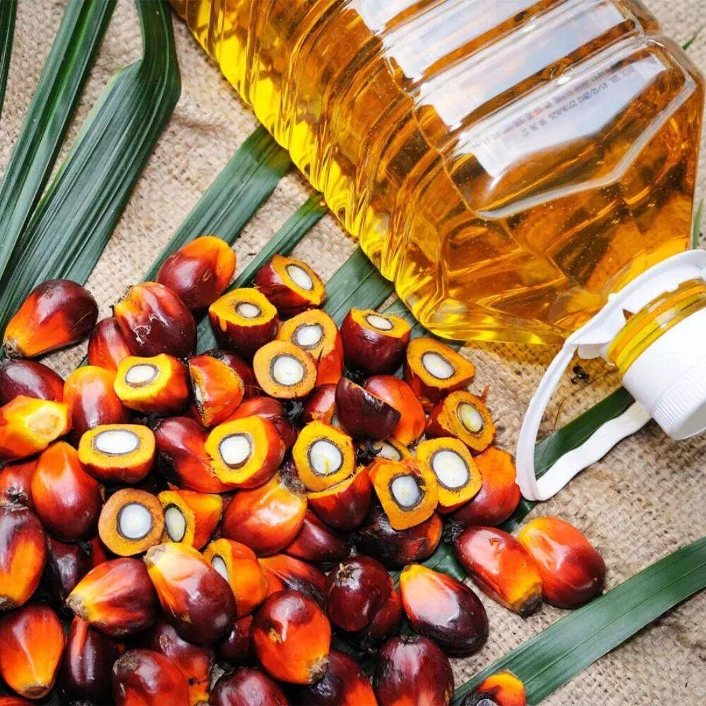 Indonesia’s ban on Palm oil export to take effect tomorrow; developments so far-thumnail