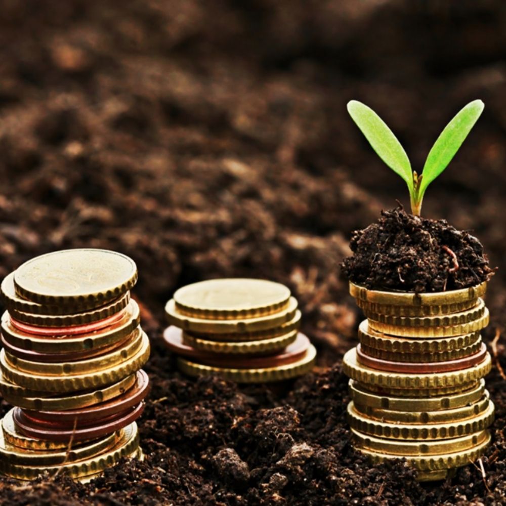 A Brief Guide To Seed Funding For Startups-thumnail