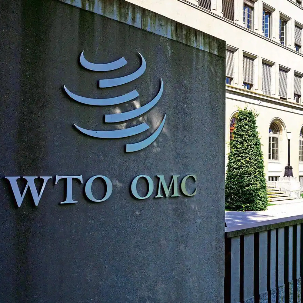 WTO members unanimously sign a historic deal, after a decade-thumnail