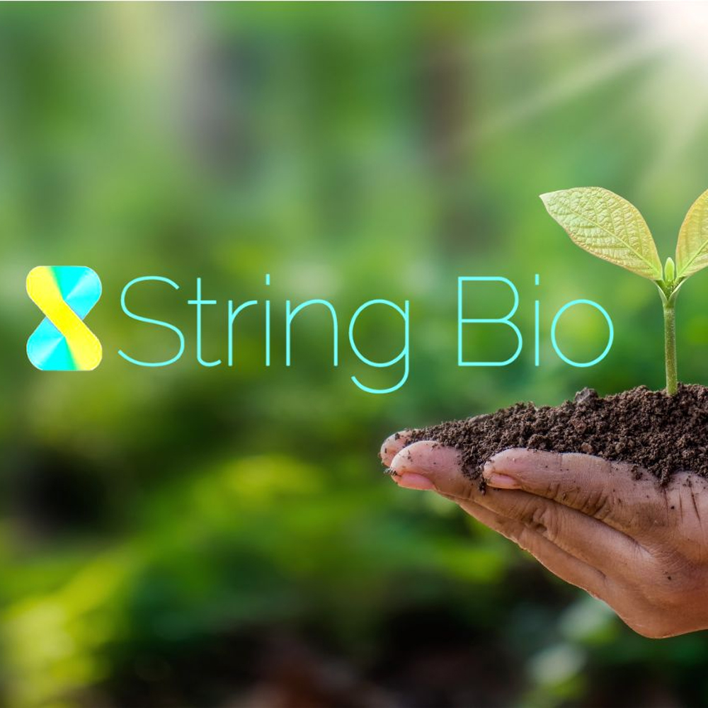 <strong>Biotech startup String Bio raises $20mn in funding</strong>-thumnail
