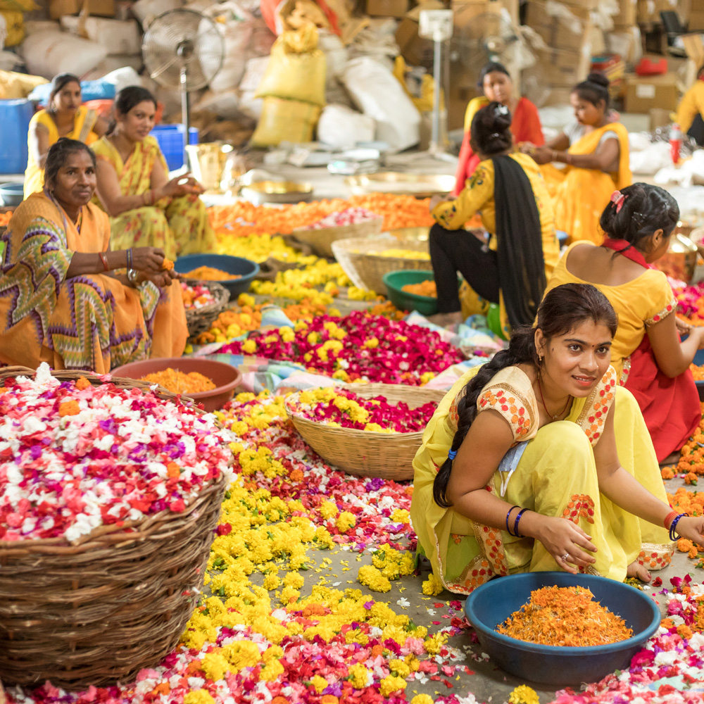 Phool. co – Recycling Flowers Wasted from our Temples-thumnail
