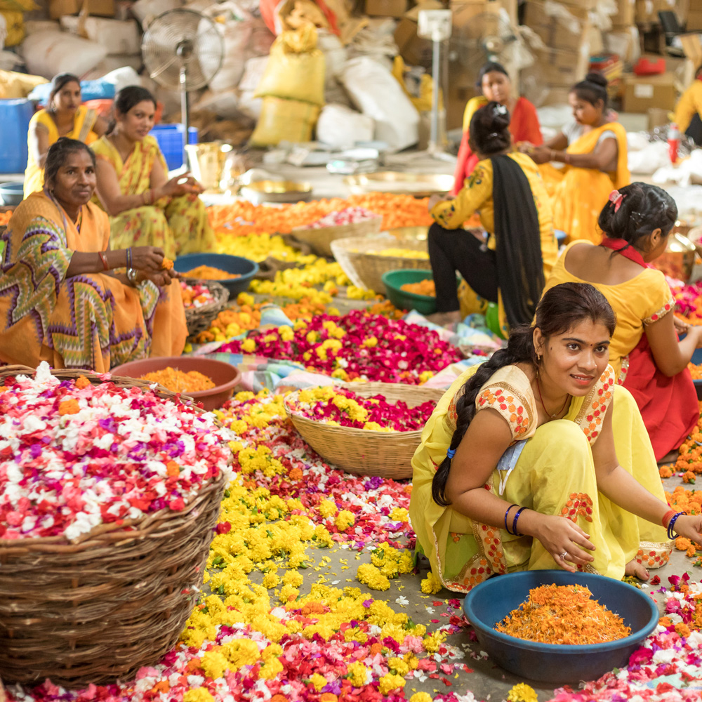 Phool. co – Recycling Flowers Wasted from our Temples - Post Image