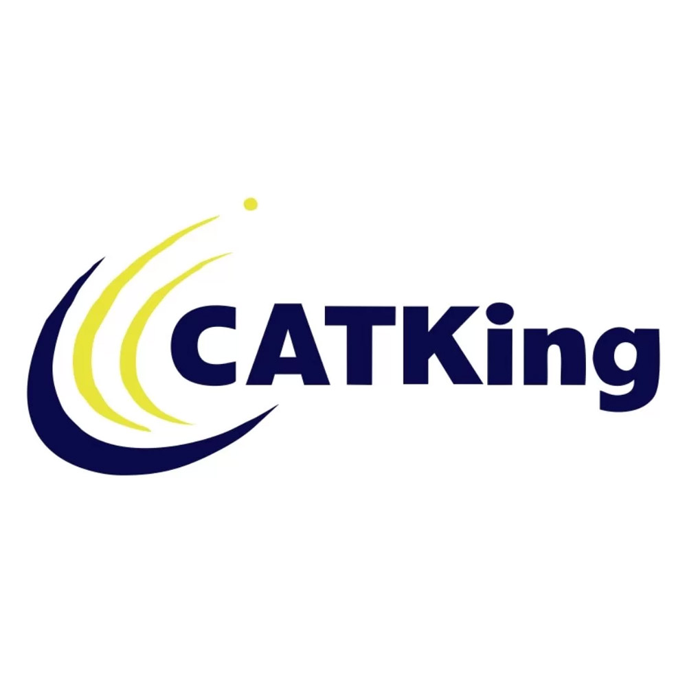 <strong>CATKing- The holistic institution preparing students to ace Business Schools’s Entrance examination </strong>-thumnail