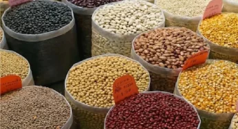 Kharif 2022 first progress measure, 149.92 million tonnes of food grain output valued