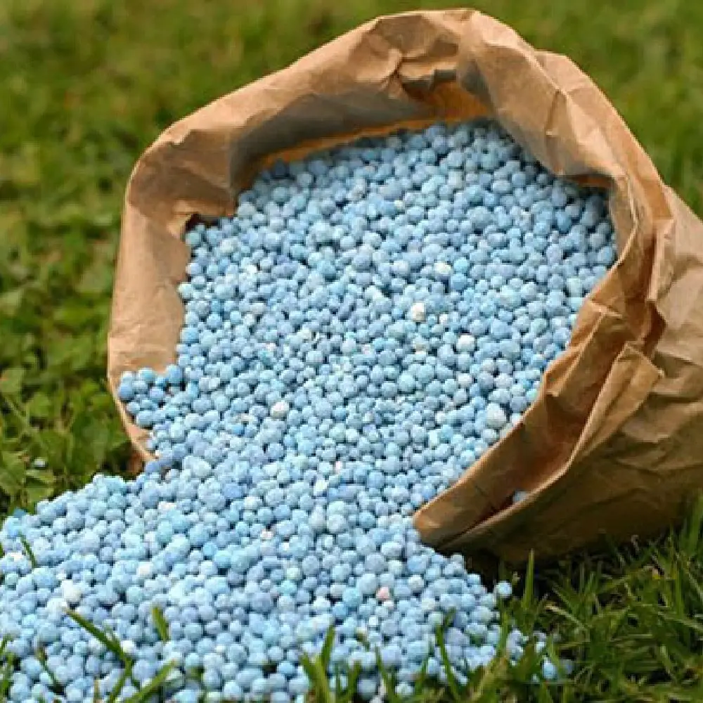 Fertilizers price to fall-thumnail