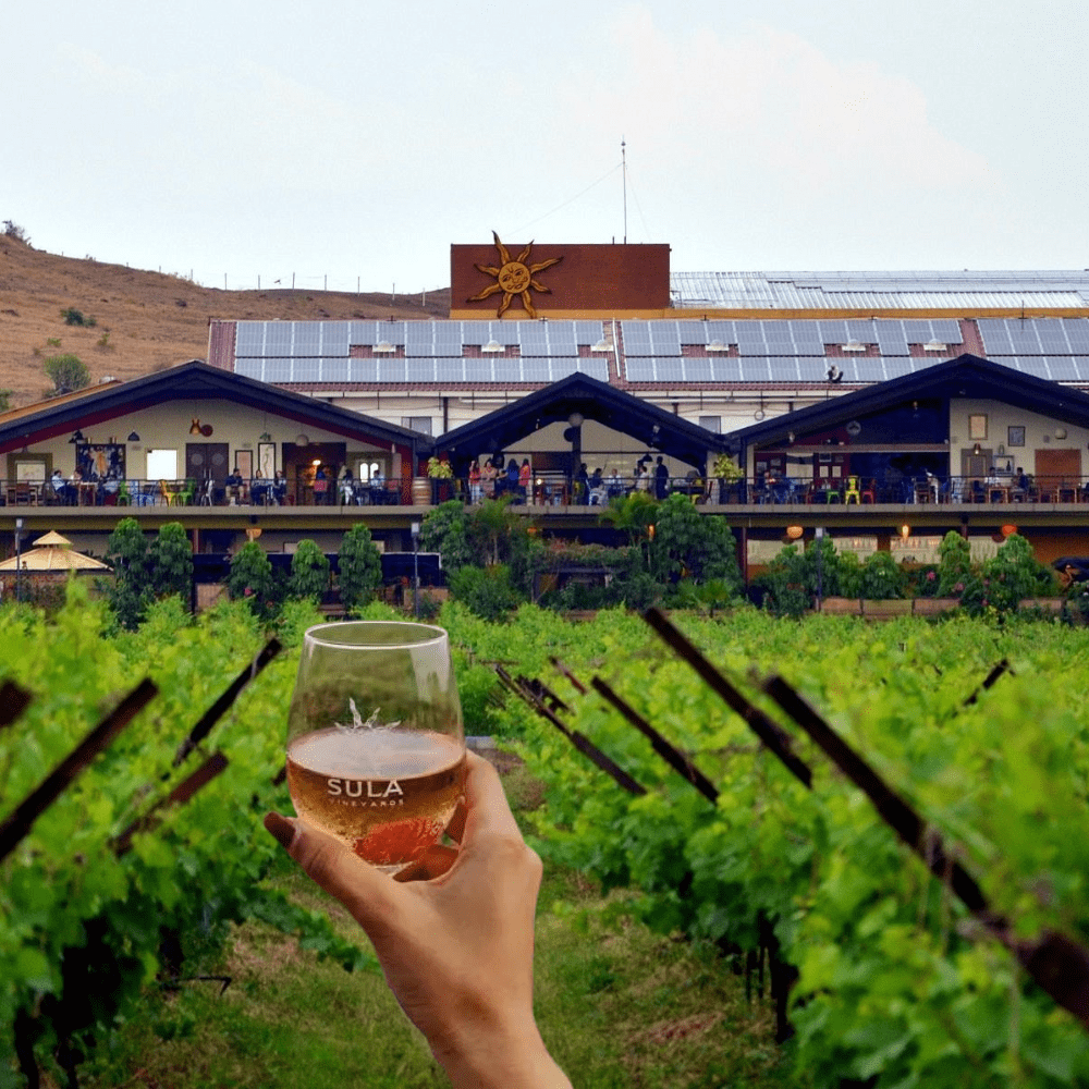 Sula Vineyard will take some time to become active. Bow out now or raise a glass to the long haul-thumnail