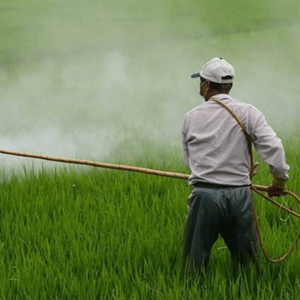 To reduce budgetary strain, the Centre may pay less on fertiliser subsidies-thumnail