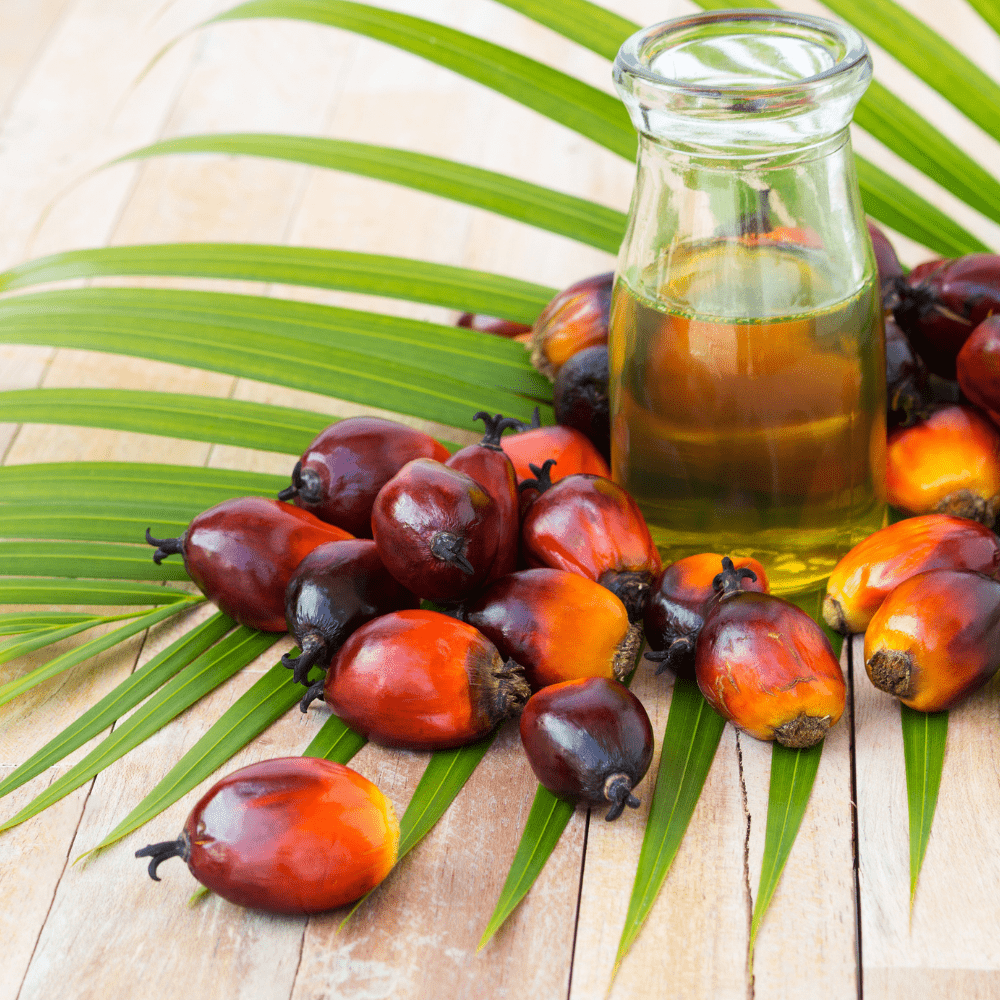 Indonesia to put restrictions on palm oil exports from Jan 1-thumnail