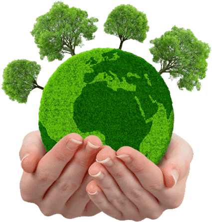 <strong>Green Initiatives: How Companies Can Achieve Environmental Goals Through Business Practices</strong>-thumnail