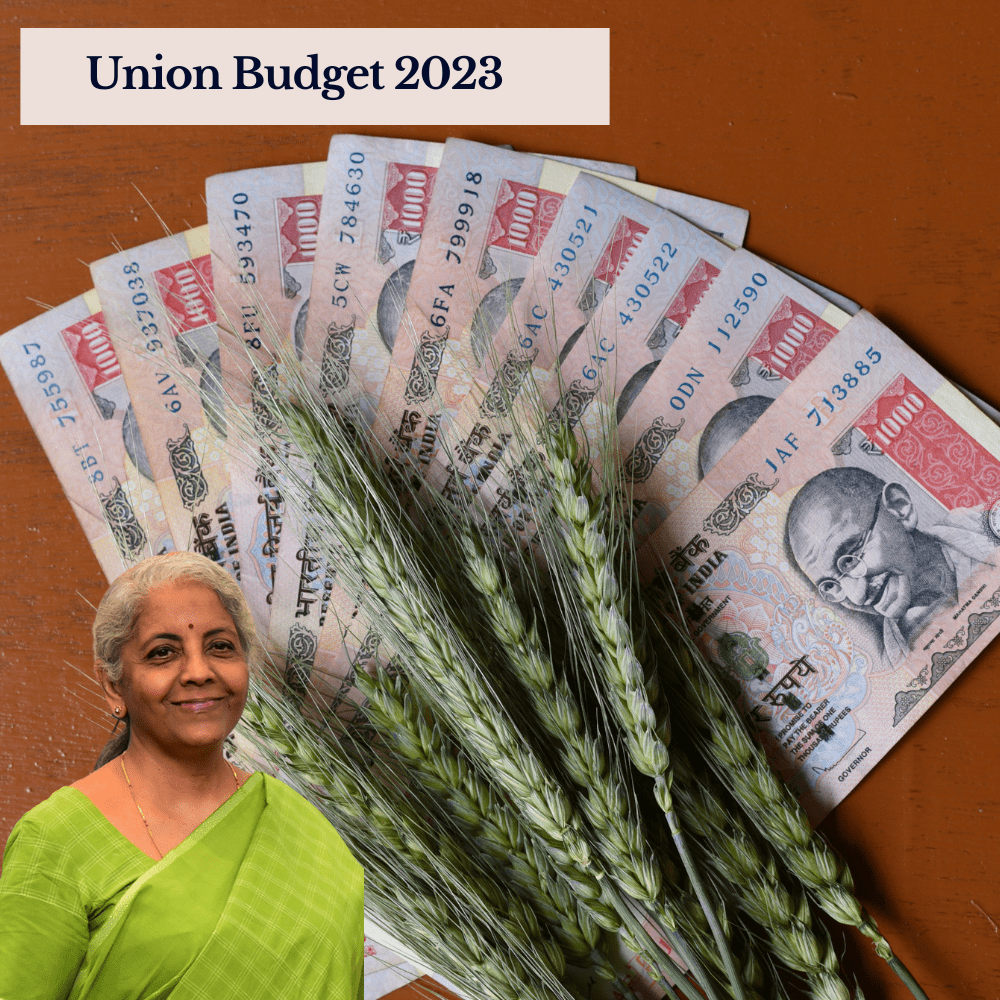 <strong>The Union Budget 2023: What Nirmala Sitharaman can deliver for homebuyers</strong>-thumnail