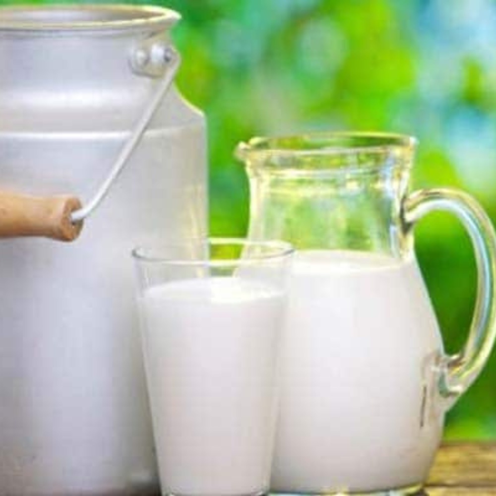 India is the first, accounting for a 24 pc contribution to global milk production-thumnail