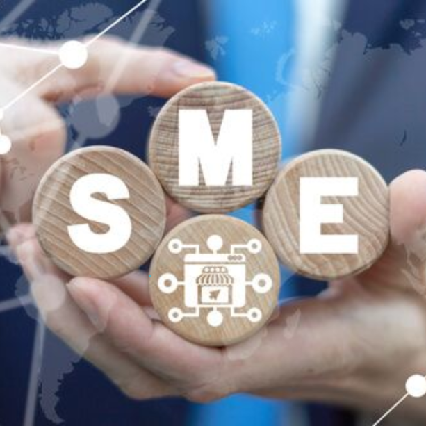 Small and Medium Enterprises in India's Manufacturing Industry