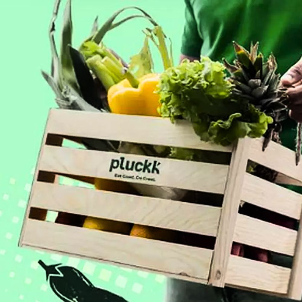 Food-tech start-up Pluckk acquires 100% share in meal kit brand KOOK-thumnail