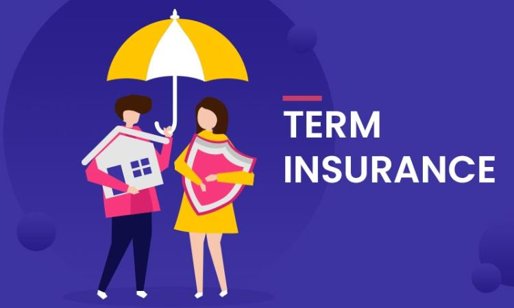 Term Insurance 