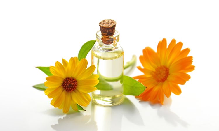 sunflower oil