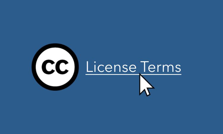 license terms