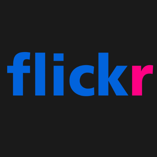 New to Flickr? Read this article to know more about it