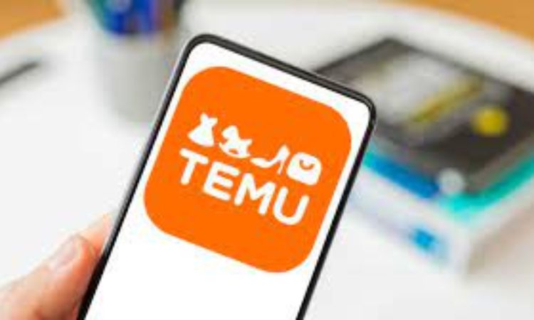 TEMU: THE BIGGEST COMPETITOR OF SHIEN?