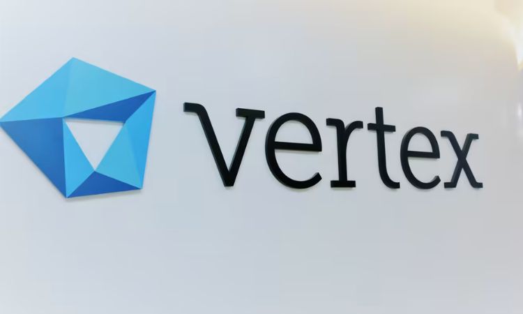 VC firm Vertex Ventures Southeast Asia and India raises $541 million in its fifth fund