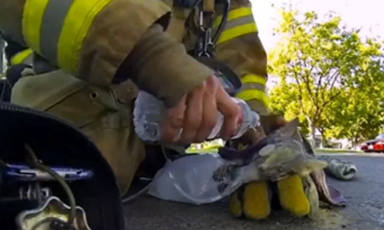 Go Pro “Fireman Saves Kitten”