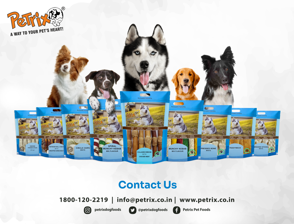 Success Story of Petrix Pet Foods