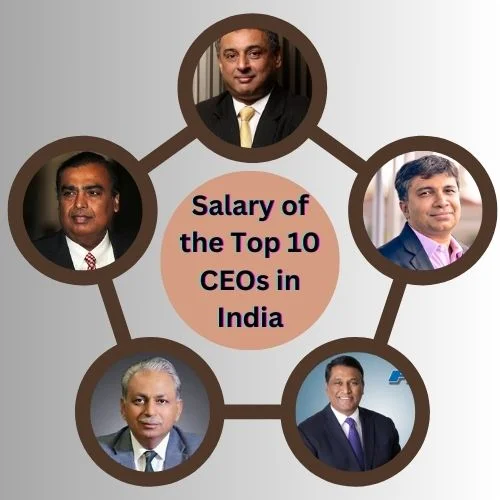 Salary of the Top 10 CEOs in India: The Highest Paid CEOs-thumnail