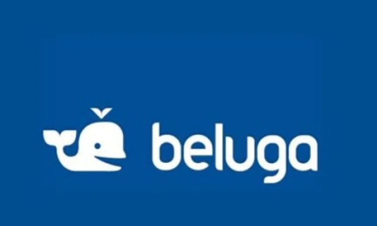 Beluga