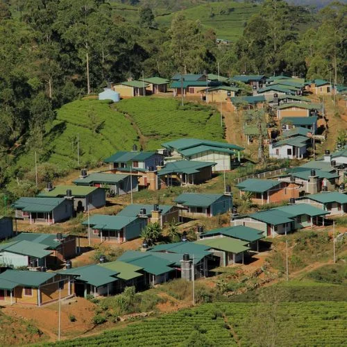 India Plans to Construct 10,000 Homes in the Tea Plantation Regions of Sri Lanka-thumnail