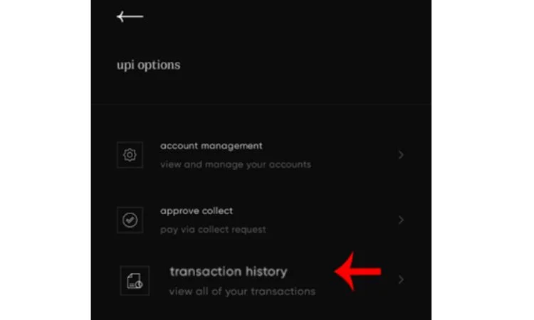 UPI Transaction History