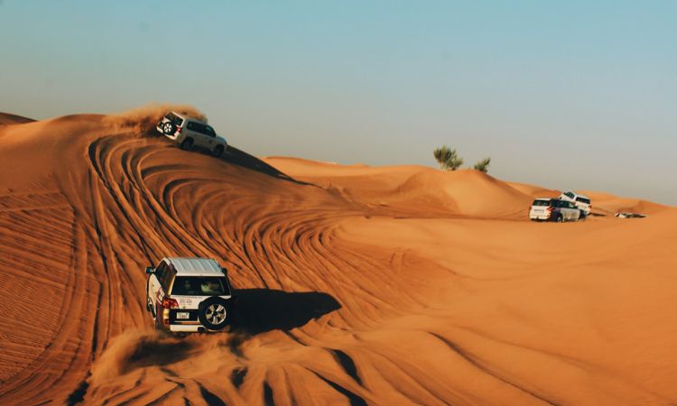 Desert Safari