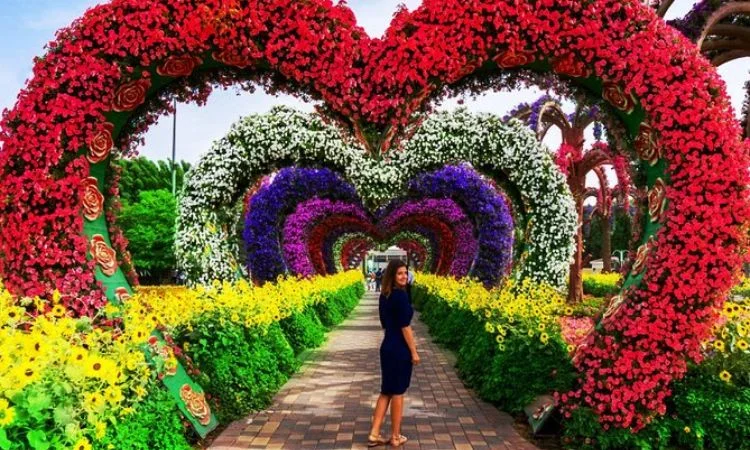 Miracle Garden