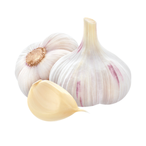 FY24 is expected to be another year of record garlic exports from India.