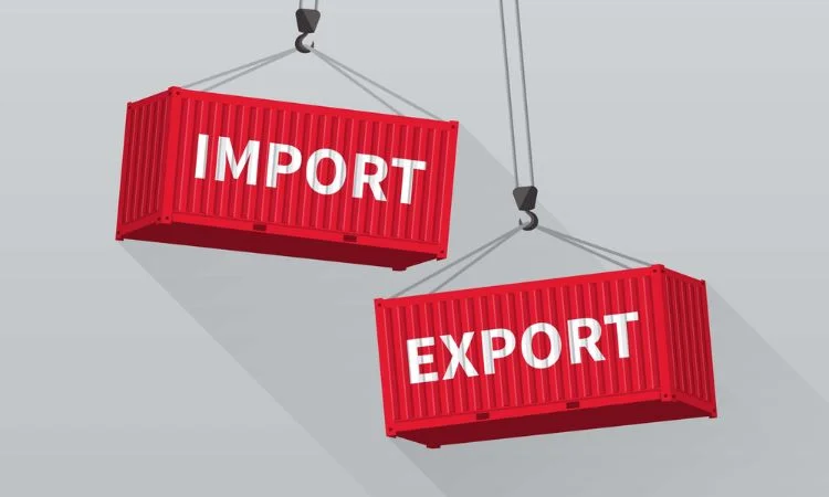 Import & Export
