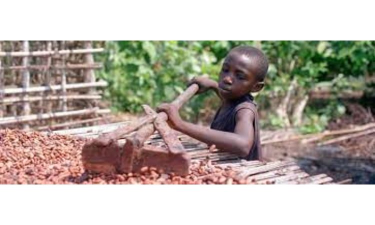Prevalence of Child Labour