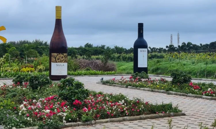 Sula Vineyards Stock Surges