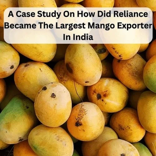 A Case Study On How Did Reliance Became The Largest Mango Exporter In India -thumnail
