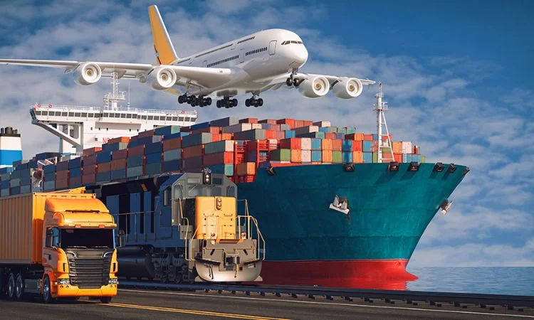 Import Export Business