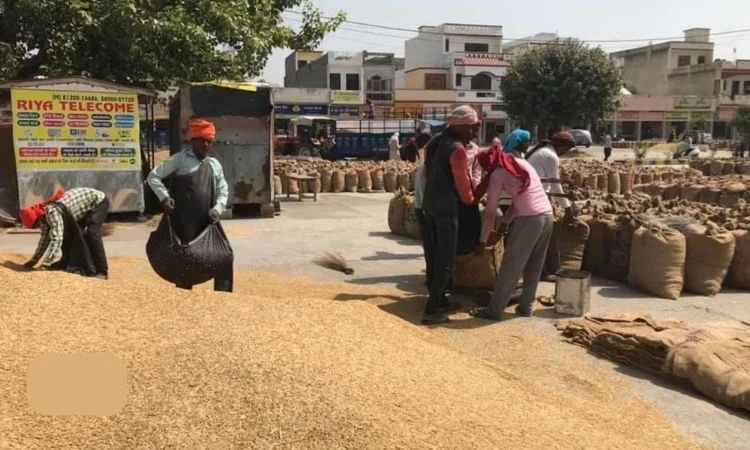 Selling farmers’ yield in cities