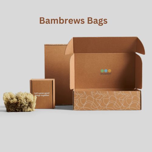 Bambrews Bags, an Eco-Friendly Packaging Startup, Raises INR 60 Crore From Blume Ventures and Other Investors-thumnail