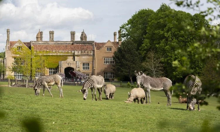 Marwell Zoo