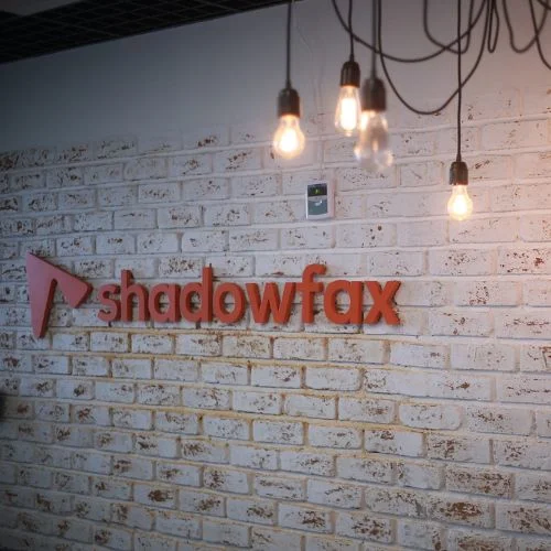 Shadowfax: The Rising Star of India’s On-Demand Delivery Landscape-thumnail