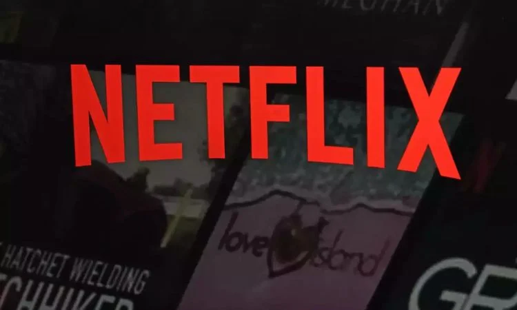 About Netflix