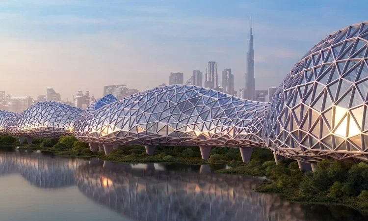 Dubai Paving the Path