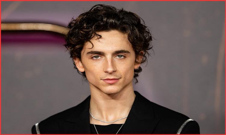 Timothée Chalamet