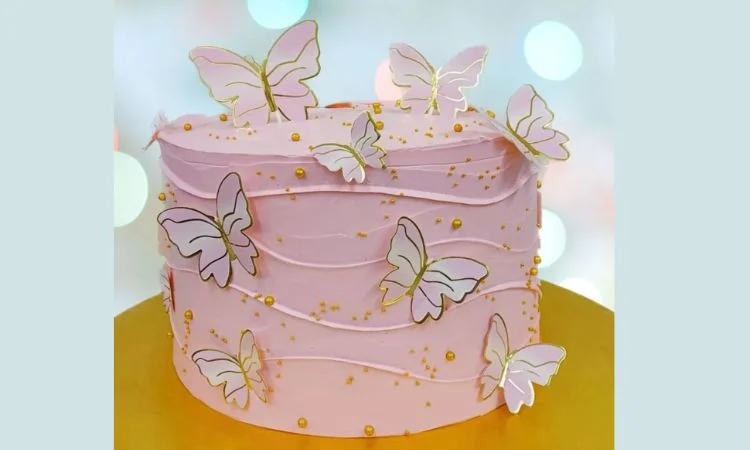 butterfly cake- one of the best birthday cake designs
