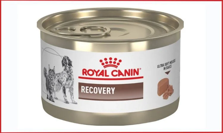 royal canin