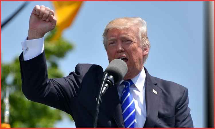 trump drug import policy