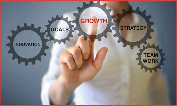 business growth