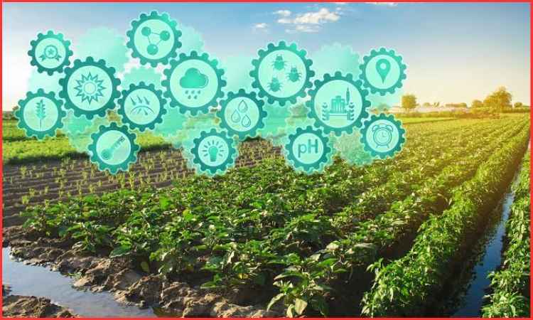 sustainable agriculture